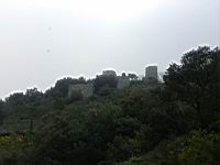 D04-048- Capri- Villa San Michele.JPG